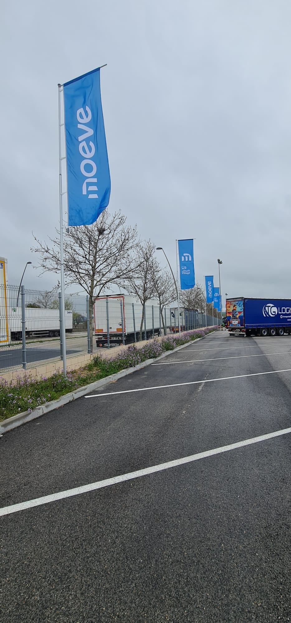 WhatsApp_Image_2025-03-18_at_10.51.11.jpeg 2